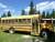 School Bus Diesel For Sale - Image 1